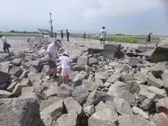 -南汇嘴观海公园