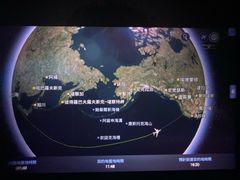 -达拉斯 沃斯堡国际机场