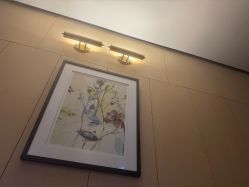 -娇莉芙美颜SPA连锁