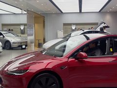 -TESLA 特斯拉(郑州正弘城体验店)