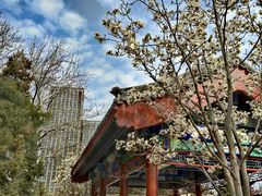 -西海子公园