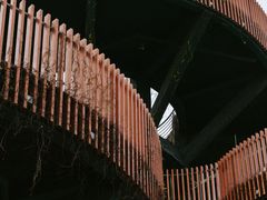 -芒洲湿地公园