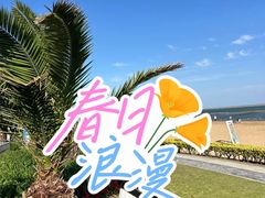 -碧海金沙
