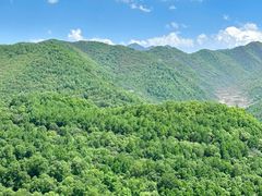 -云顶山风景区