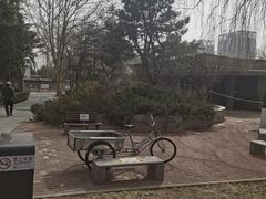 -黄村公园