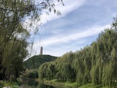 -北坞公园
