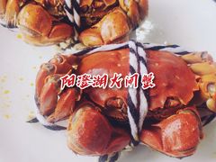 -蟹天蟹地农家菜·阳澄湖大闸蟹(浅水湾店)
