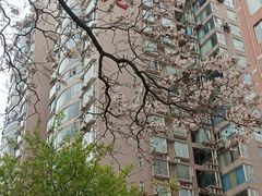 -红星桥(地铁站)