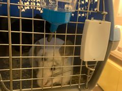 -龙猫仔乐园(惠福东路店)