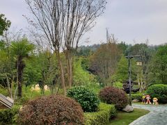 -咸宁万豪温泉谷度假区