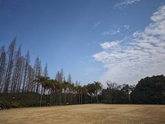 -江心屿景区
