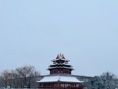 -故宫博物院(故宫)