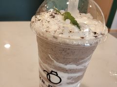 -飞行喵MR PILOT|猫舍·猫咖(静安大融城店)