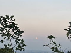 -杭州半山国家森林公园