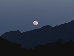 -千岛湖石林