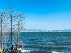 -大理洱海