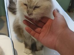 -怪兽屋·羊驼·猫咖·狗咖(俊华广场店)