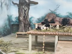 -苏州太湖国家湿地公园