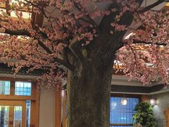 -鸥迪足道(安庆店)