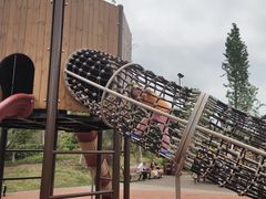 -枫香湖儿童公园