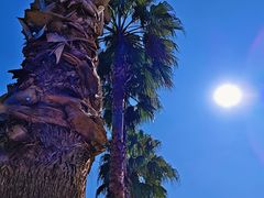 -东钱湖旅游度假区