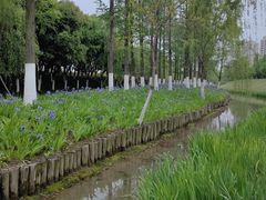 -皇粮浜湿地公园