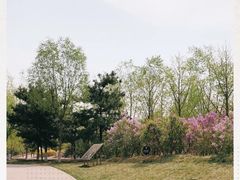 -门城湖公园