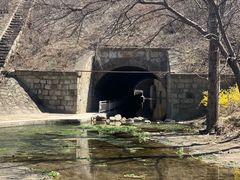 -白水寺森林公园