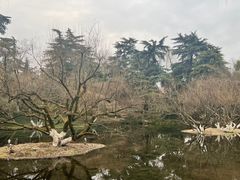 -杭州西湖柳莺里酒店·闻莺厅