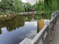 -文瀛公园