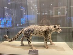 -青藏高原自然博物馆