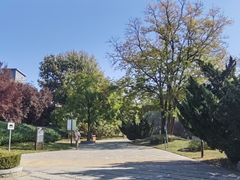 -元大都城垣遗址公园