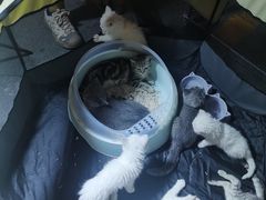 -太原茂业天地购物中心