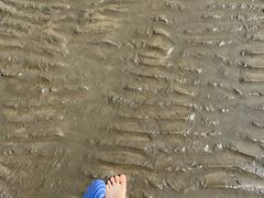 -启东黄金海滩景区