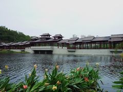 -重庆彩云湖湿地公园