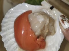 -横琴购口岸商业广场