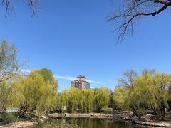 -三忘湖 SWANSEEN(柳荫公园店)