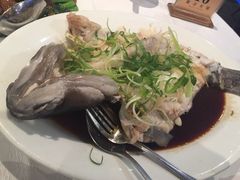 新世界海鲜酒家-Sun World Chinese Restaurant 新世界海鲜酒家