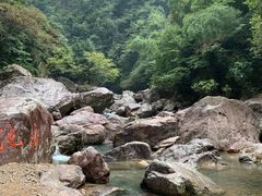 -百杖潭景区