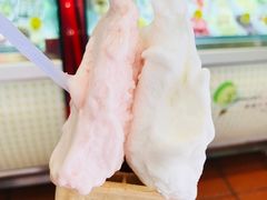 -柠檬车露(卖草地店)