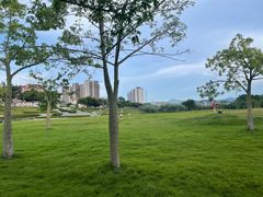 -风云岭森林公园