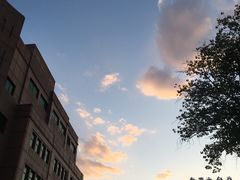 门面-晶丽香榭自助餐(南京大饭店)