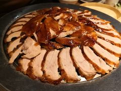 -守柴炉烤鸭(科华中路王府井店)