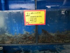 -蚝专家(北滘店)