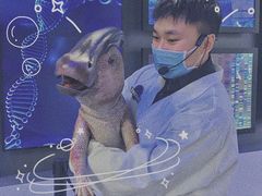 -侏罗纪世界电影特展(广州站)