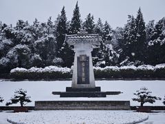 -秦始皇帝陵博物院-丽山园