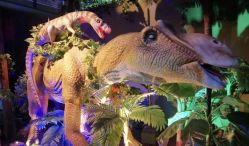 -恐龙探索乐园(磁器口店)