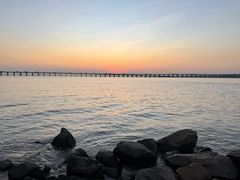 -宝安西湾红树林湿地公园