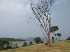 -盘龙城国家考古遗址公园