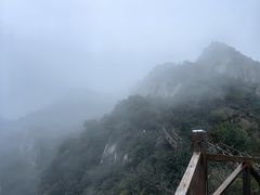 -大岭沟猕猴桃谷风景区